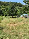 RAW6650: Plot of Land for Sale in Rawai. Thumbnail #3