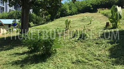 RAW6650: Plot of Land for Sale in Rawai. Photo #5