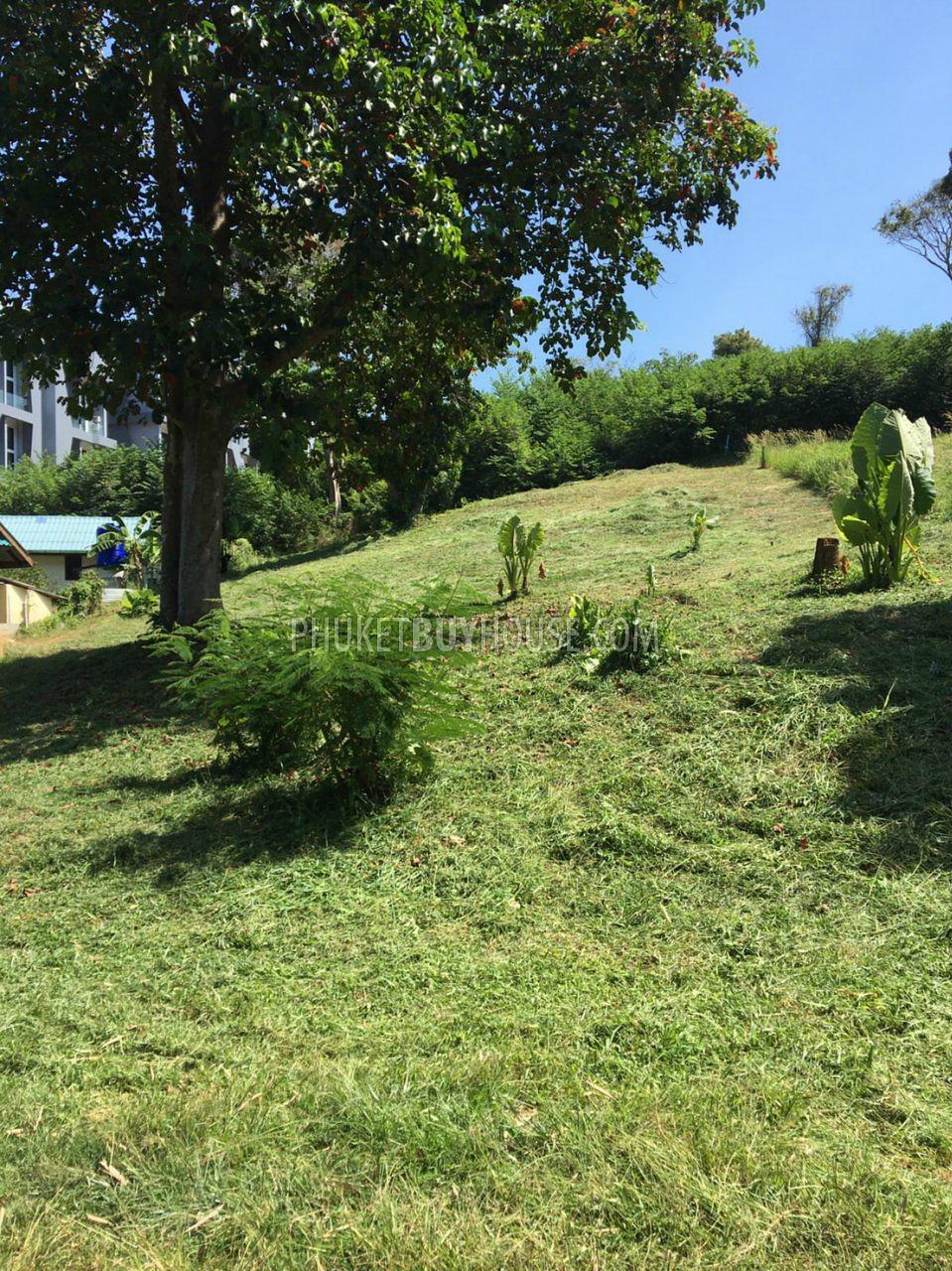RAW6650: Plot of Land for Sale in Rawai. Photo #5