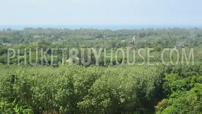 MAI4997: Land for Sale Near Airport in Mai Khao. 照片 #12