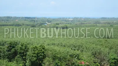 MAI4997: Land for Sale Near Airport in Mai Khao. 照片 #6