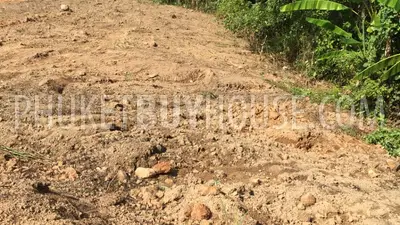 MAI4997: Land for Sale Near Airport in Mai Khao. 照片 #20