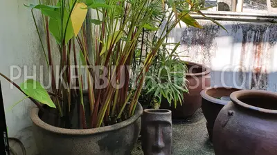 NAI6698: Townhouse for Sale, 350 meters to Nai Harn Beach. Photo #10