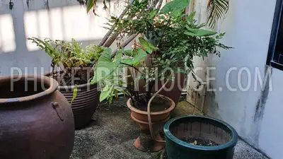 NAI6698: Townhouse for Sale, 350 meters to Nai Harn Beach. Photo #11