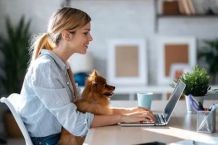 Exploring pet-friendly condominiums in Phuket