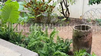 CHA6724: Cozy House with a Pool in Chalong. Photo #24