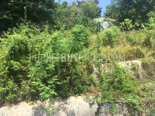 PAT6735: House for Sale in Patong. Photo #1
