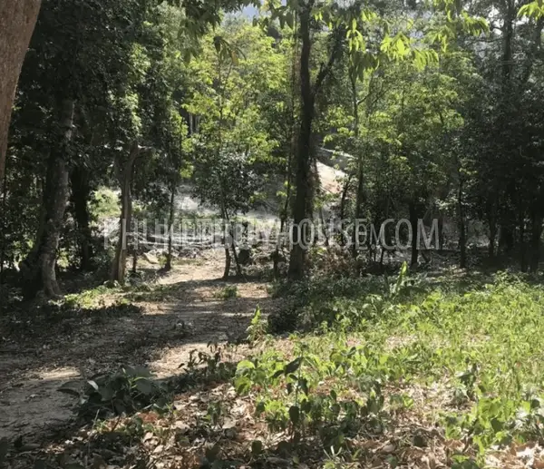 PAT6777: Plot of Land for Sale in Kalim area. Photo #2