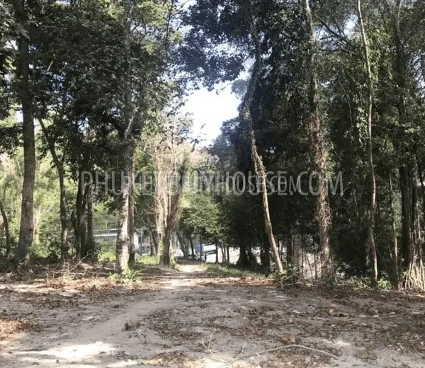 PAT6777: Plot of Land for Sale in Kalim area. Photo #3