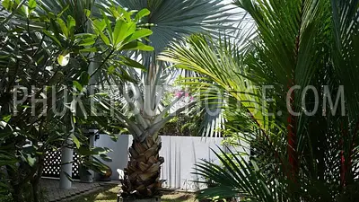 RAW6784: Cozy House with Pool in Rawai. Photo #4