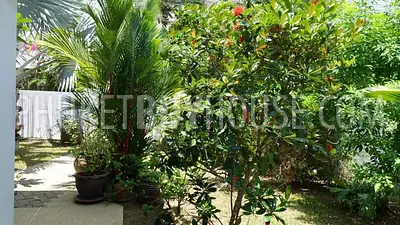 RAW6784: Cozy House with Pool in Rawai. Photo #5
