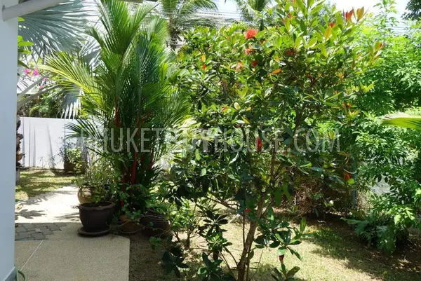 RAW6784: Cozy House with Pool in Rawai. Photo #5