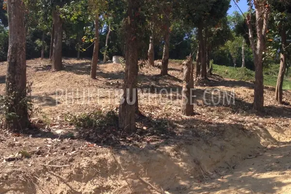 PAN6826: Plot of Land for Sale near Cape Panwa. Photo #8