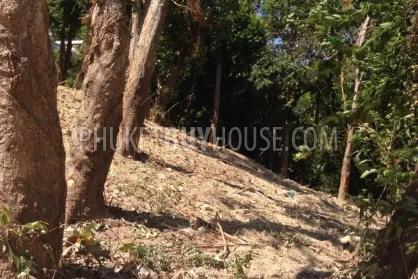 PAN6826: Plot of Land for Sale near Cape Panwa. Photo #12