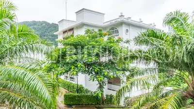 PAT6833: Luxury Villa for Sale in Patong. Photo #8