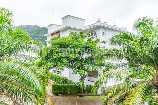 PAT6833: Luxury Villa for Sale in Patong. Photo #8