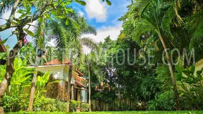 BAN6835: Magnificent Villa in Bang Tao. Photo #21
