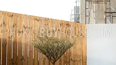 CHA6838: Modern Townhouses with Pool in Chalong. Photo #11