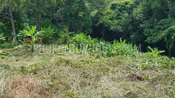 KAM6808: Plot of Land with Sea View in Kamala. Photo #1