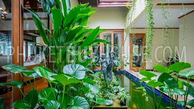 NAI6853: Luxury Villa for Sale in Nai Harn District. Photo #21