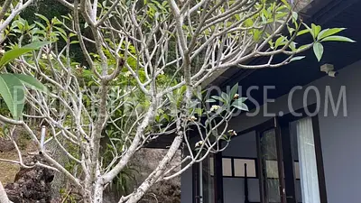 KAR7272: Two Houses with SeaView in Karon. Fotoğraf #5