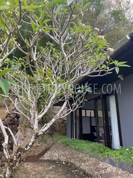 KAR7272: Two Houses with SeaView in Karon. Photo #5